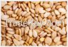 High  quality  sesame ...