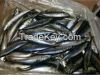 High  quality mackerel...