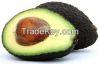High  quality  Fresh A...