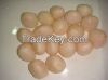 High  quality  Lychees...