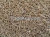 High  quality  cumin s...