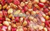 High  quality  Kola Nut