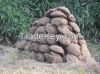 High  quality  COW DUNG