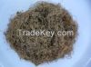 High quality  Dried gracilaria seaweed