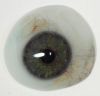 Artificial eye/Prosthe...