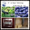 100% natural acaiberry...