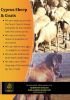 Live sheep and goats
