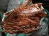 Copper Scraps Supplier...