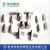 Tungsten carbide mining tools , carbide teeth insert