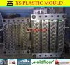 cap mould,PET preform mould,Blow mould