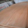Okoume wood veneer