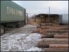 Pine round wood logs & sawn timber from Ukraine