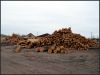 Pine round wood logs & sawn timber from Ukraine