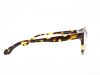 Designer Eyewear Frame