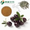 Olive Leaf Extract - O...