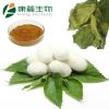 Natrual Mulberry leaf Extract (Powder)