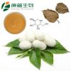 Natrual Mulberry leaf Extract (Powder)