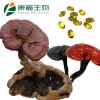 Reishi, Lingzhi, Ganoderma Lucidum, Lingzhi Spores Powder