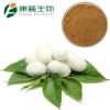 Silkworm Pupa Powder