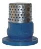 Foot Valve Flange Drilled 