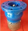 Foot Valve Flange Drilled 