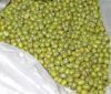 Top Quality Fresh,Frozen And Dried Green Mung Beans