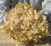 We Offer Good Quality Pine Wood Shavings For Animal Bedding 