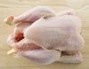 Frozen Chicken feet an...