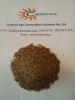 Cumin Seeds
