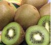 Fresh Red Kiwi Fruit,Green Kiwi Fruit