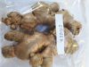 fresh ginger