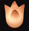 8*10cm Rose Flower Sha...