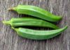 okra(ladies finger)