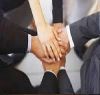 Joint Venture/Collabor...