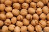 walnut in shell
