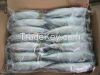 Frozen Horse Mackerel