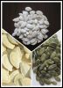 pumpkin seeds GWS