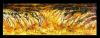 art wall glass