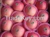 China Fuji apple, fres...