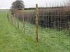 Field Fence