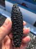 dried sea cucumber