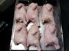 HALAL FROZEN WHOLE CHI...