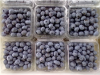 hot selling organic fr...