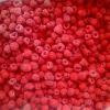 	IQF frozen raspberry ...