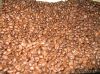 Arabica coffee beans for sale