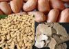 Best price Groundnut M...