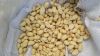 shelled peanut