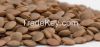 Lentils 