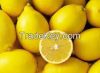 Fresh Yellow Lemon For...