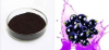 Best Quality Bilberry ...